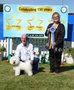 375817179-695379695957719-8540029260308379250-n