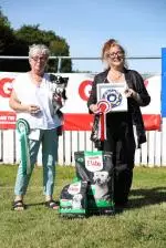 375746505-695379852624370-3484076126923655209-n