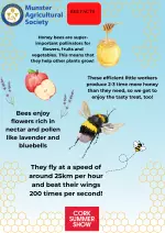 Bees (A3)